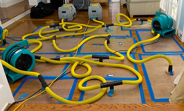 Professional Flood Damage Restoration technician working in Cedarhurst, NY